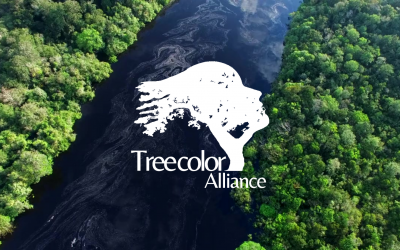 🌳 Découvrez Treecolor Alliance 🌿