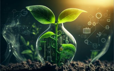 Partenaire de Reforest’Action !