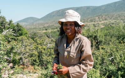 Restaurer les terres de Kuzuko en Afrique du Sud 🐘